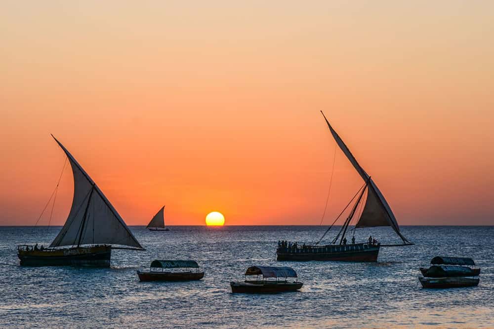banner-image