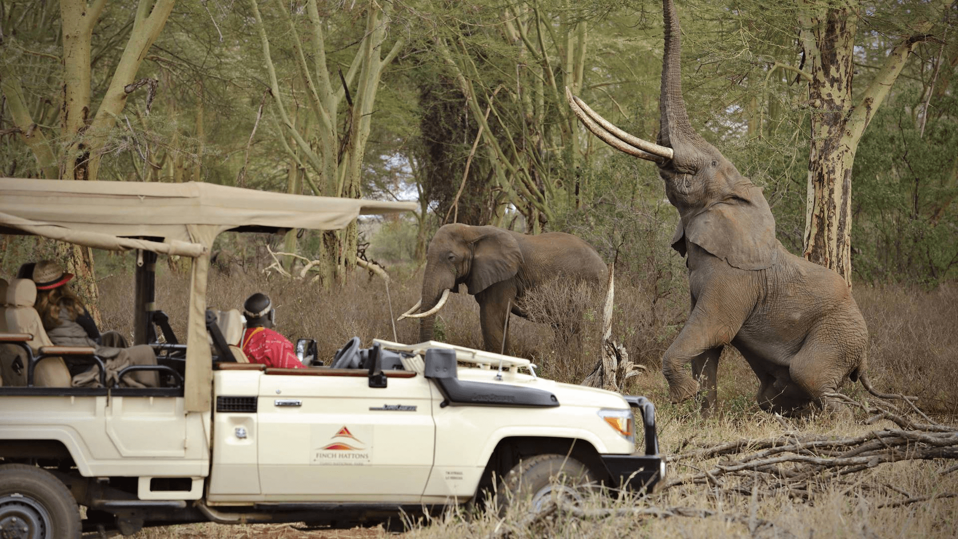 Finch Hattons Luxury Tented Camp