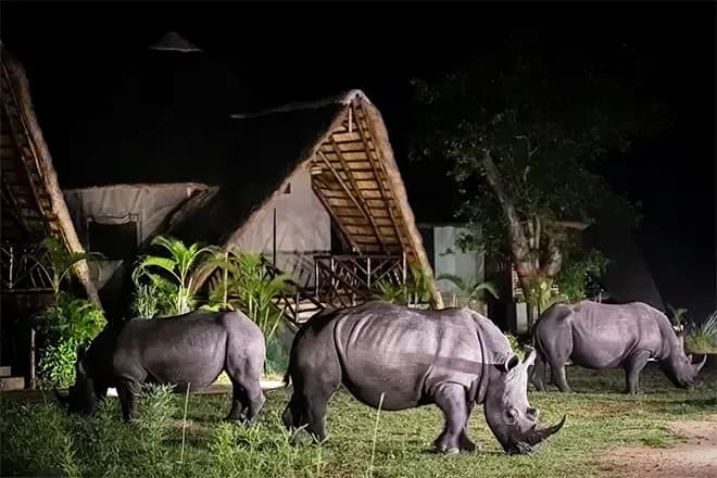 Ziwa Rhino and Wildlife Ranch