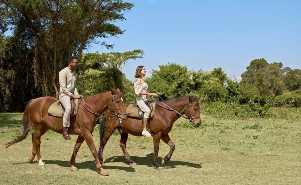 Signature Amenities & Features