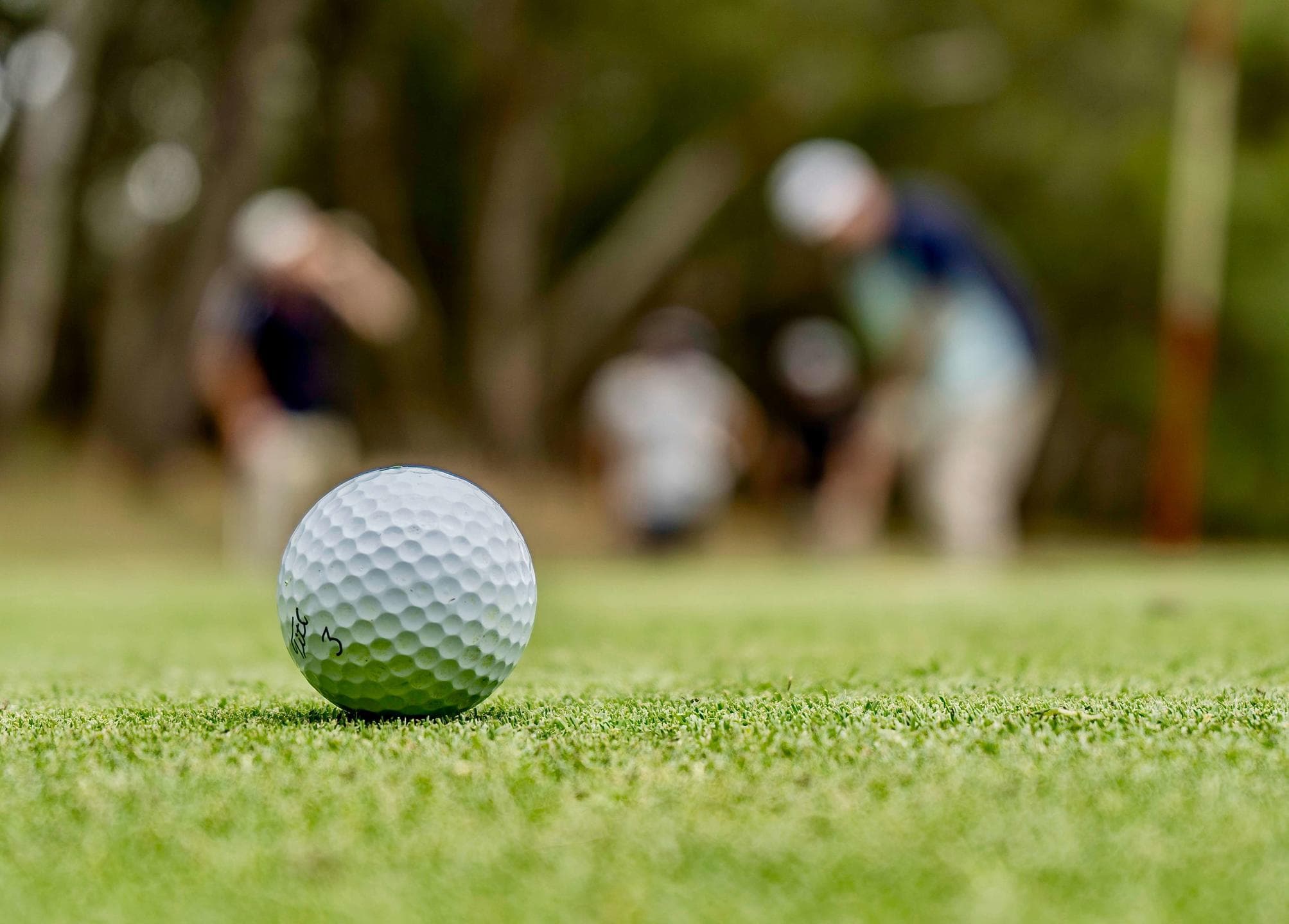 kruger park golf excursion