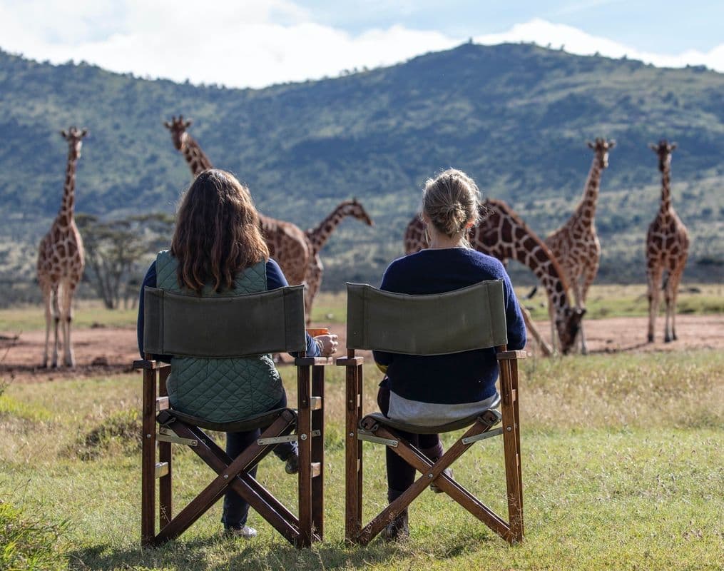 Game viewing at Enasoit