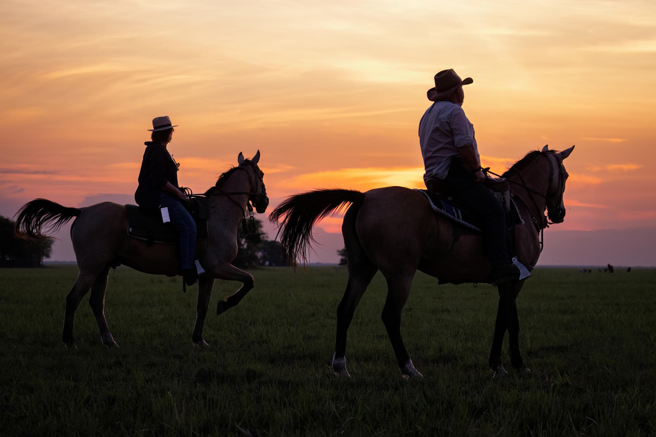 Horseback Riding