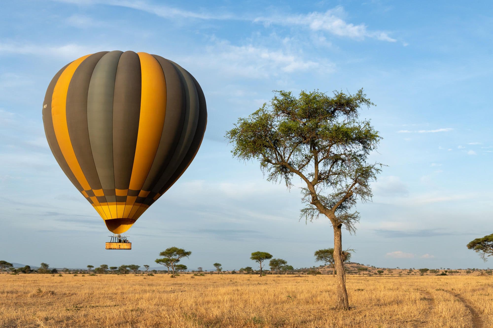 Incredible Tanzania