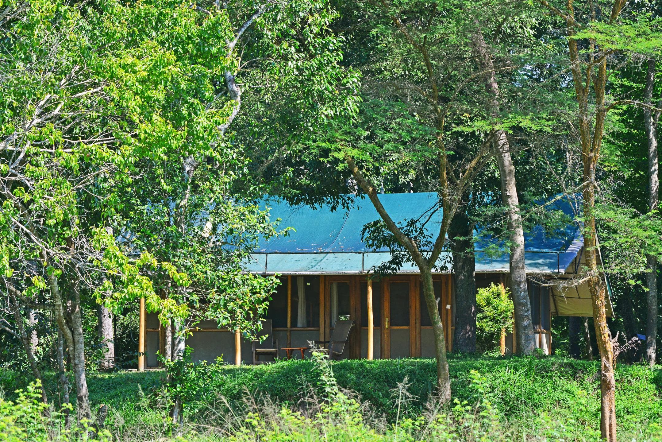 Ishasha Wilderness Camp