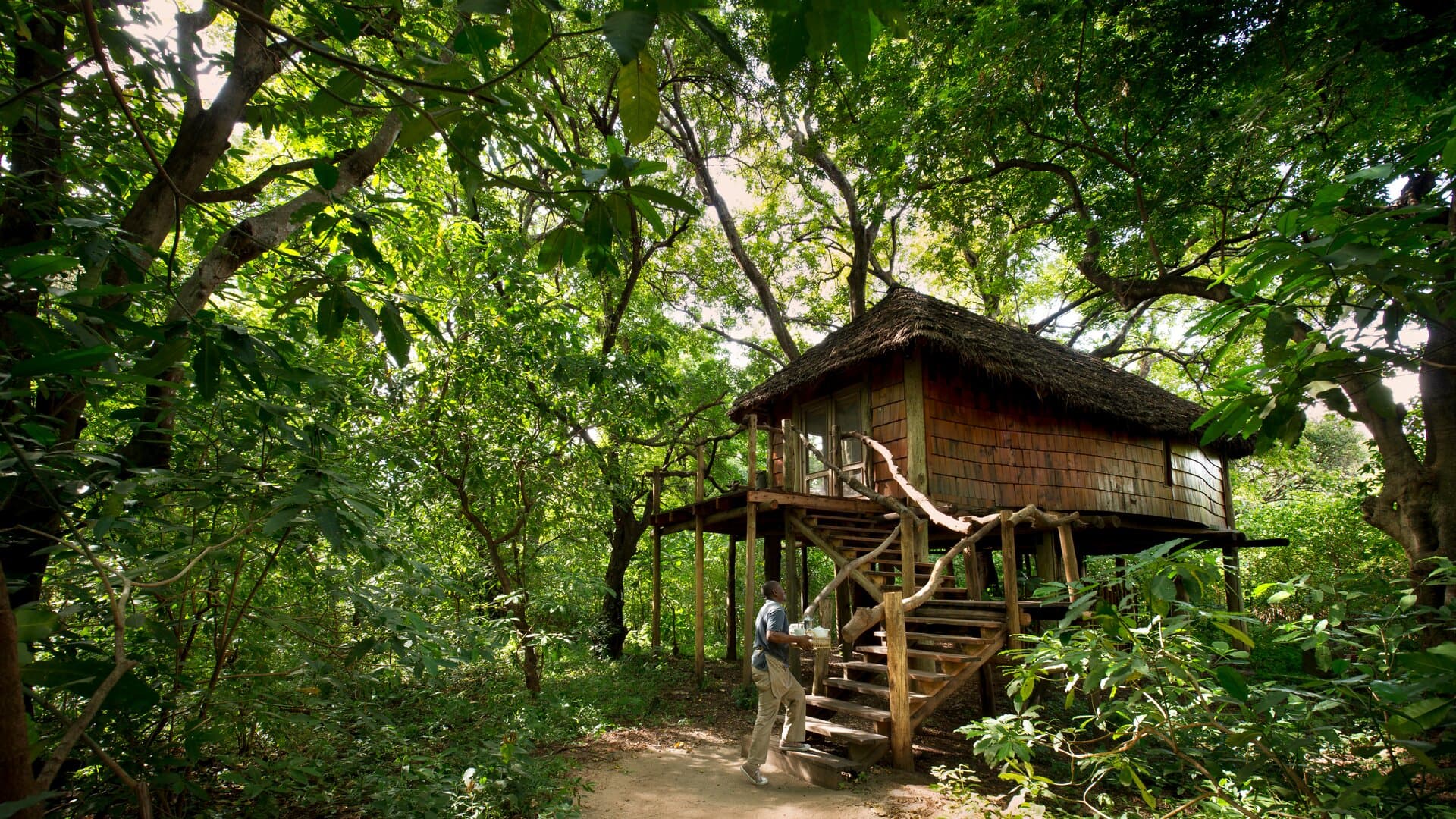 Lake Manyara Tree Lodge Room