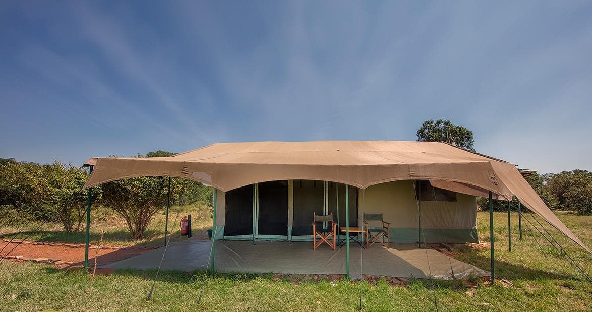 Porini Lion Camp