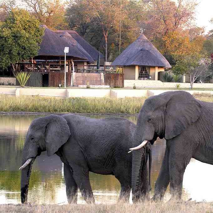 Sabi Sands Game Reserve